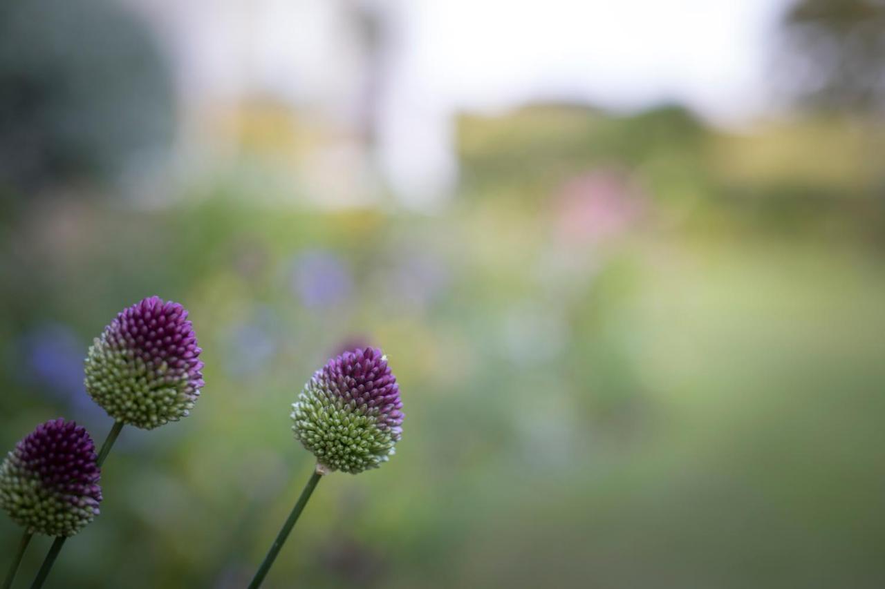 Middle Cottage Southlands Farm Gunnerton エクステリア 写真