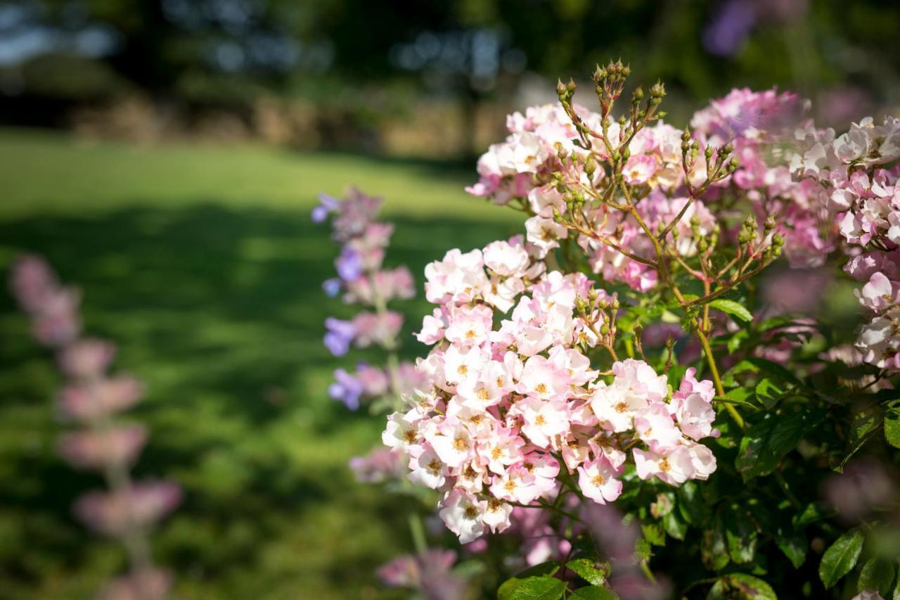 Middle Cottage Southlands Farm Gunnerton エクステリア 写真